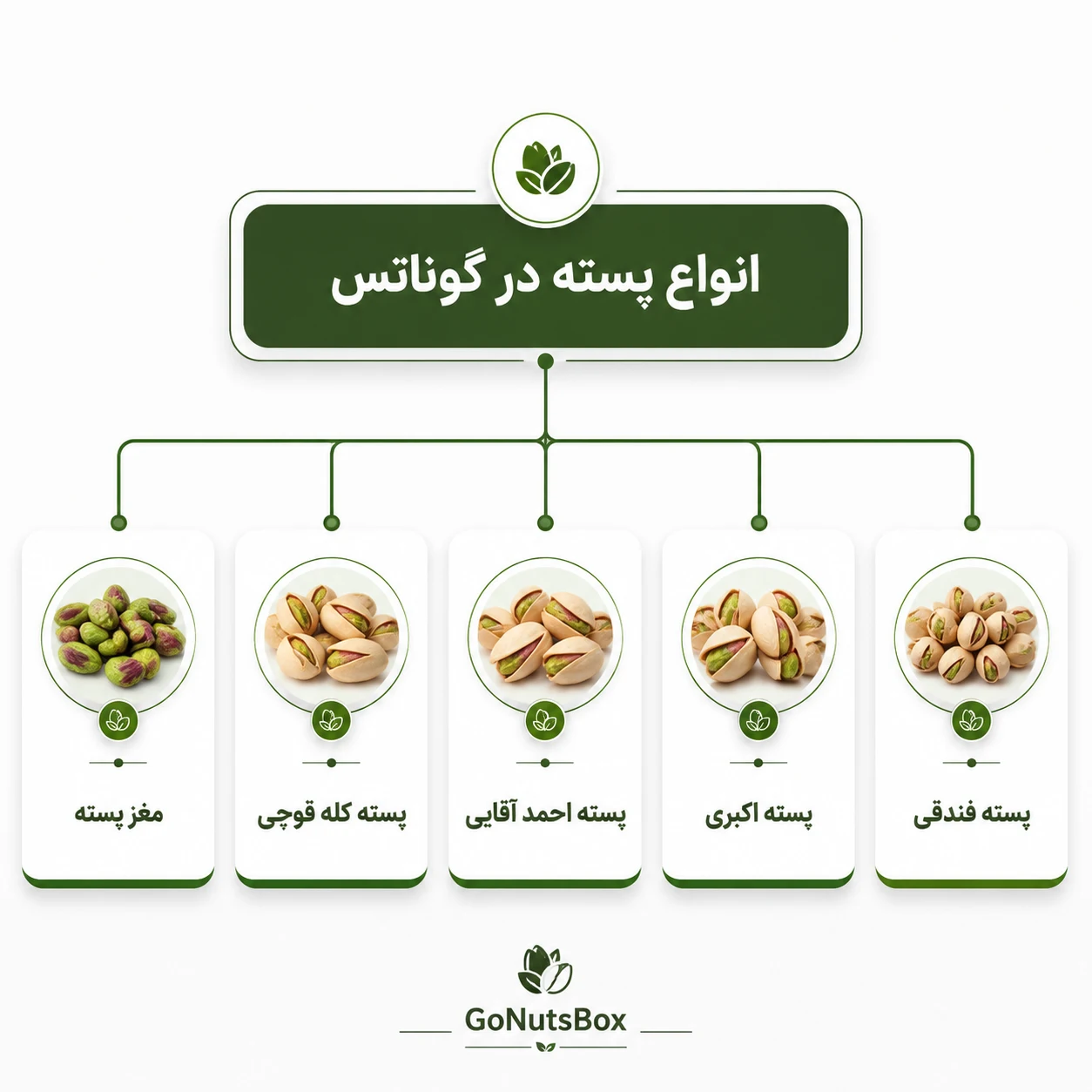 خرید انواع پسته در بوتیک اجیل گوناتس